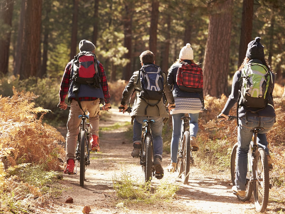 Vier Menschen auf Fahrrädern im Wald