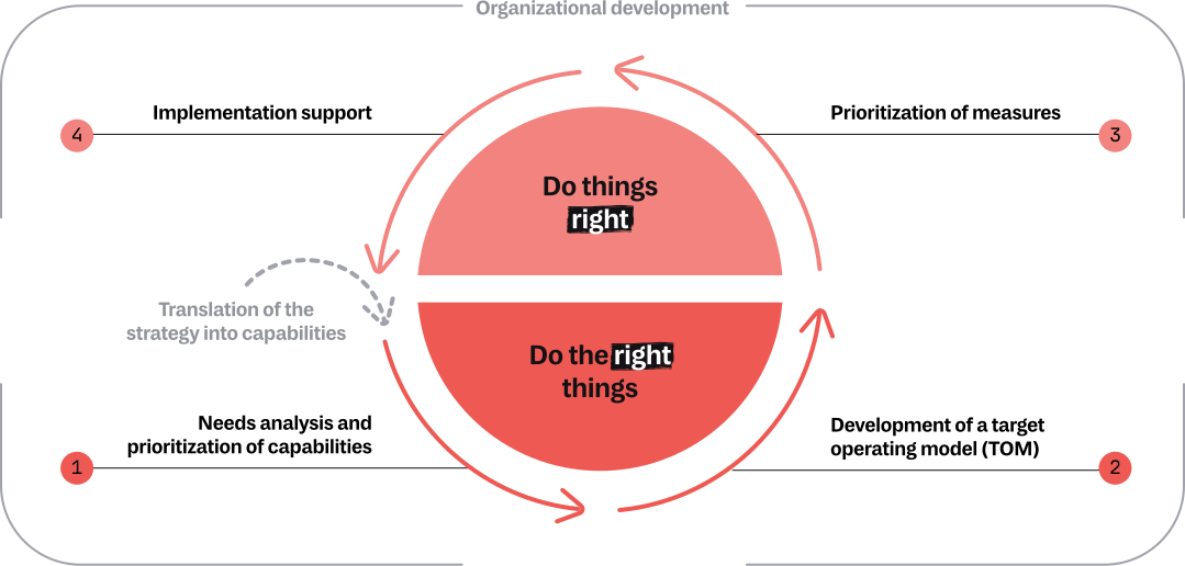 Visualization of the development of capabilities in four steps: Needs analysis and prioritization of capabilities, development of Target Operating Model (TOM), implementation support, prioritization of measures